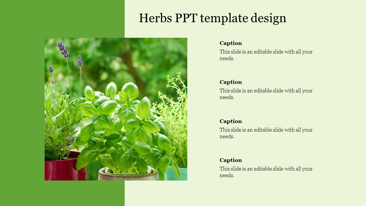 Herbs PPT template design
